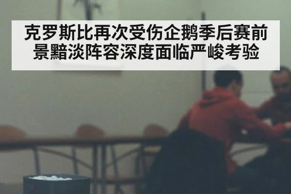 克罗斯比再次受伤企鹅季后赛前景黯淡阵容深度面临严峻考验
