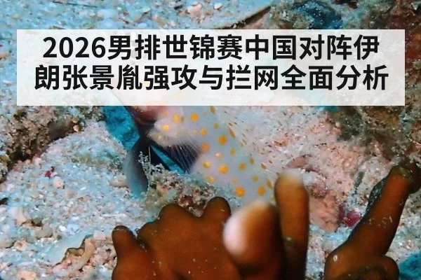 2026男排世锦赛中国对阵伊朗张景胤强攻与拦网全面分析
